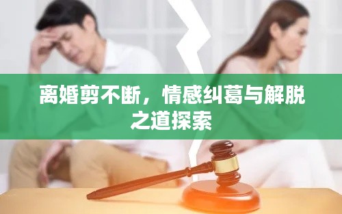 离婚剪不断,情感纠葛与解脱之道探索