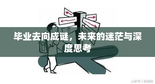 毕业去向成谜，未来的迷茫与深度思考