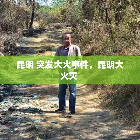 昆明 突发大火事件,昆明大火灾