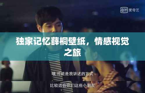 独家记忆薛桐壁纸,情感视觉之旅