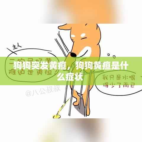 狗狗突发黄疸，狗狗黄疸是什么症状 