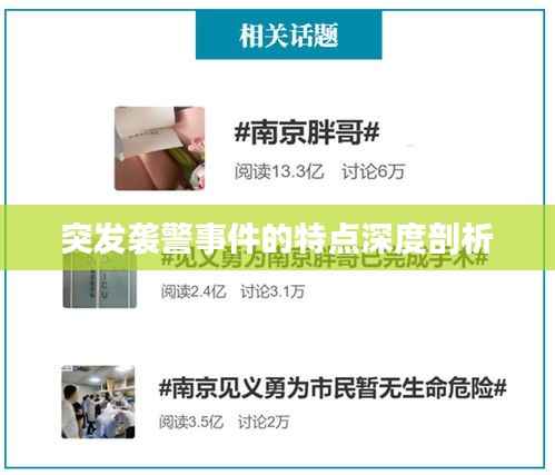 突发袭警事件的特点深度剖析