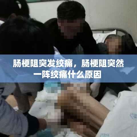 各就各位 第5页