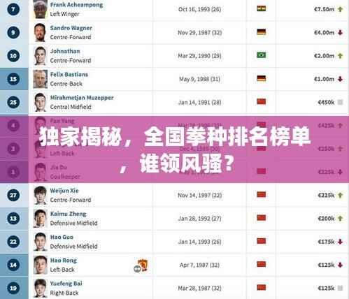 独家揭秘,全国拳种排名榜单,谁领风骚?