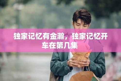 独家记忆有金瀚,独家记忆开车在第几集
