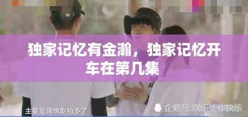 独家记忆有金瀚,独家记忆开车在第几集