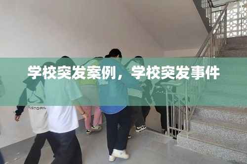 学校突发案例，学校突发事件 