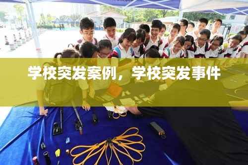 学校突发案例,学校突发事件