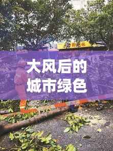 大风后的城市绿色守护者行动,守护市容,清理倒伏树木