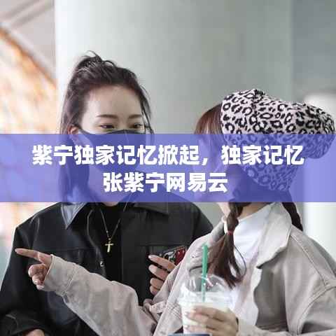 紫宁独家记忆掀起,独家记忆张紫宁网易云