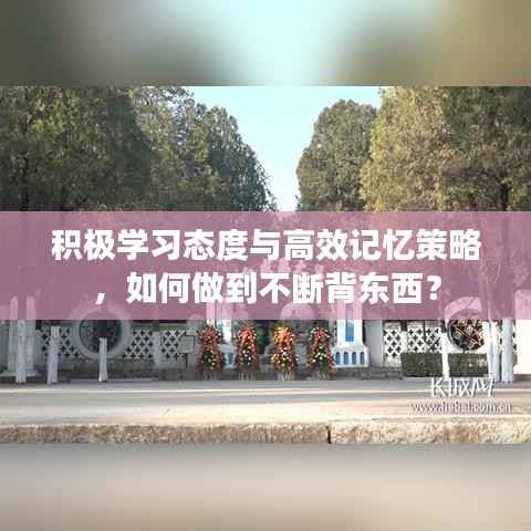 积极学习态度与高效记忆策略，如何做到不断背东西？