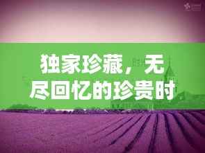 独家珍藏,无尽回忆的珍贵时光