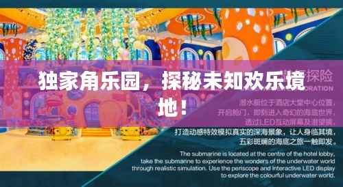 独家角乐园,探秘未知欢乐境地!