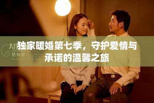 独家暖婚第七季,守护爱情与承诺的温馨之旅