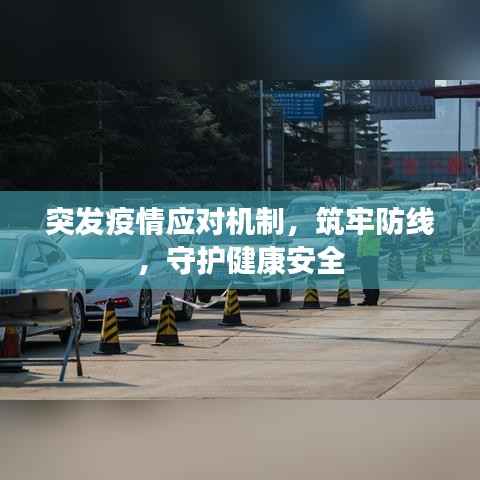 突发疫情应对机制,筑牢防线,守护健康安全