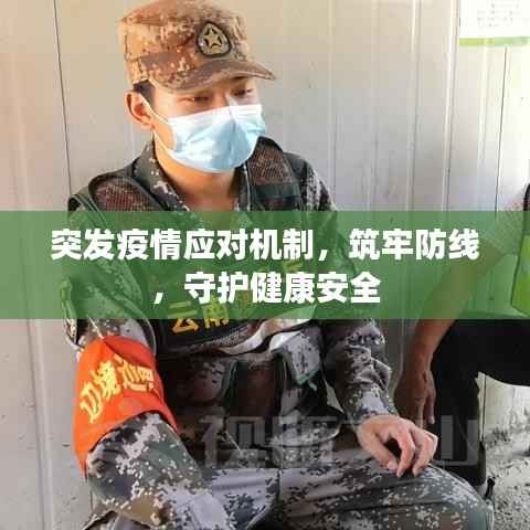 突发疫情应对机制,筑牢防线,守护健康安全