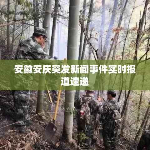 安徽安庆突发新闻事件实时报道速递