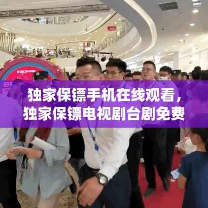 独家保镖手机在线观看，独家保镖电视剧台剧免费观看 