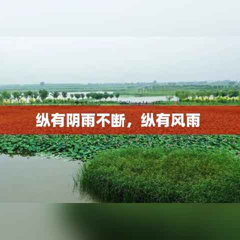 纵有阴雨不断,纵有风雨