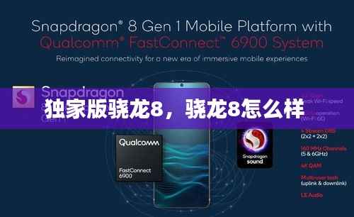 独家版骁龙8,骁龙8怎么样