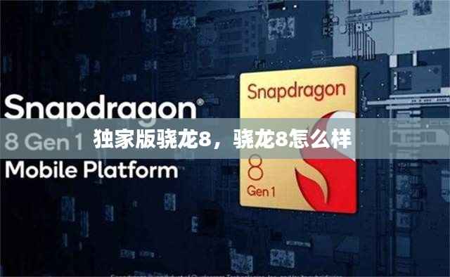 独家版骁龙8,骁龙8怎么样