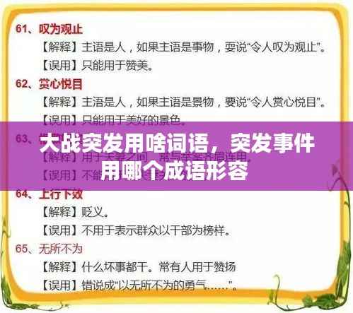 大战突发用啥词语,突发事件用哪个成语形容