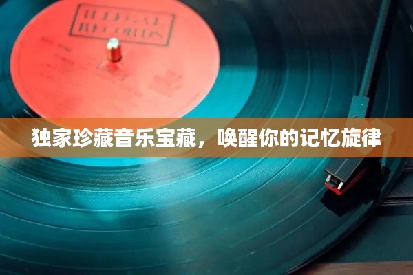 独家珍藏音乐宝藏,唤醒你的记忆旋律