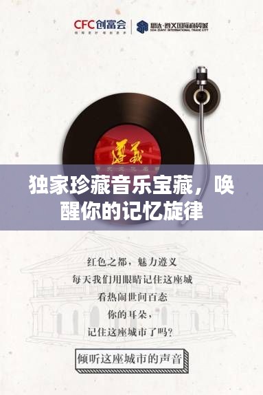 独家珍藏音乐宝藏,唤醒你的记忆旋律