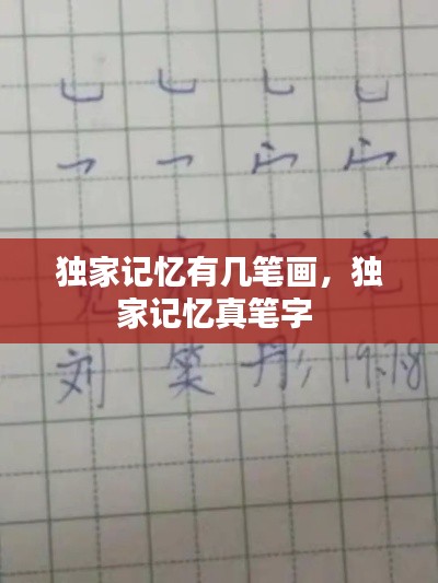 独家记忆有几笔画,独家记忆真笔字