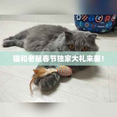 集思广益 第5页