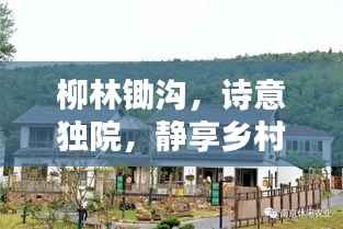 柳林锄沟,诗意独院,静享乡村生活