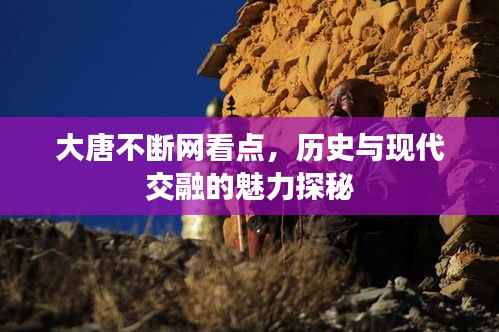 大唐不断网看点,历史与现代交融的魅力探秘