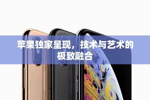 苹果独家呈现，技术与艺术的极致融合
