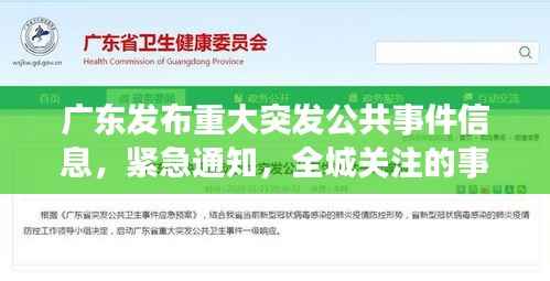 广东发布重大突发公共事件信息,紧急通知,全城关注的事件动态