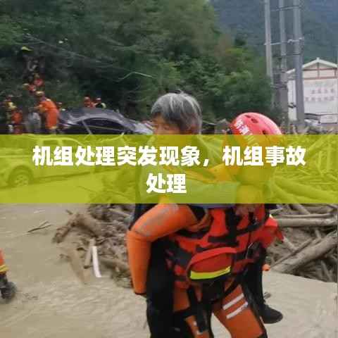 机组处理突发现象,机组事故处理