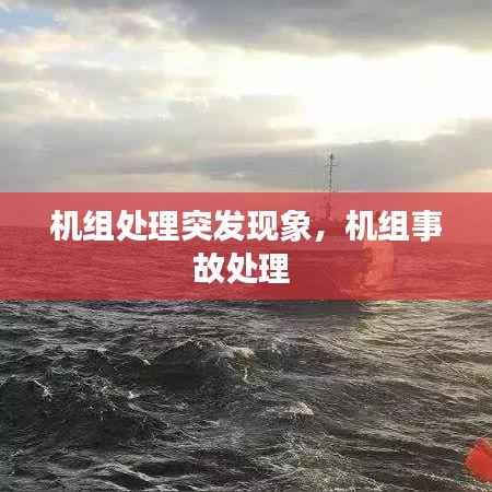 机组处理突发现象，机组事故处理 