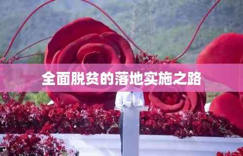 全面脱贫的落地实施之路