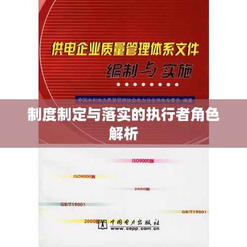 制度制定与落实的执行者角色解析