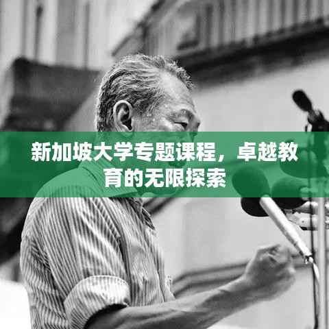 新加坡大学专题课程,卓越教育的无限探索
