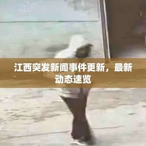 江西突发新闻事件更新,最新动态速览