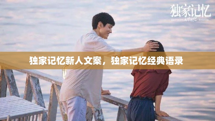 独家记忆新人文案,独家记忆经典语录