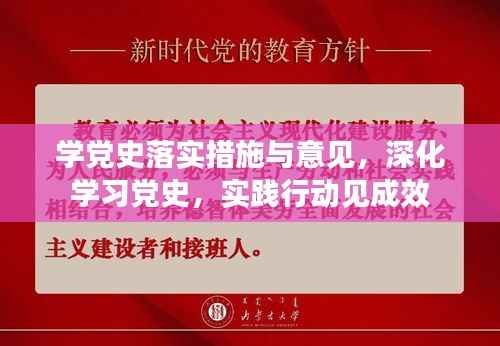 学党史落实措施与意见，深化学习党史，实践行动见成效