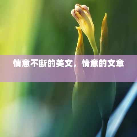 情意不断的美文,情意的文章