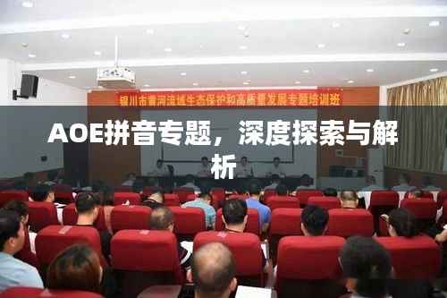 AOE拼音专题,深度探索与解析