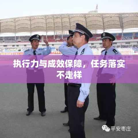 执行力与成效保障,任务落实不走样