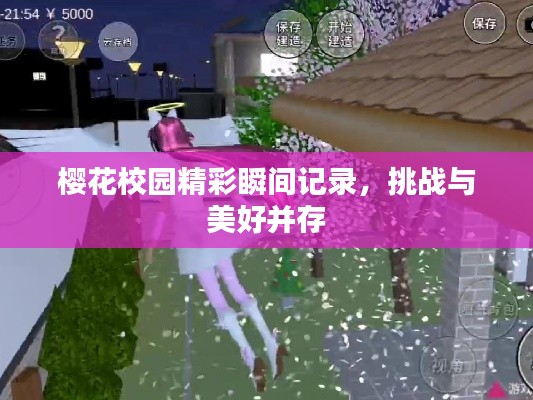 樱花校园精彩瞬间记录,挑战与美好并存