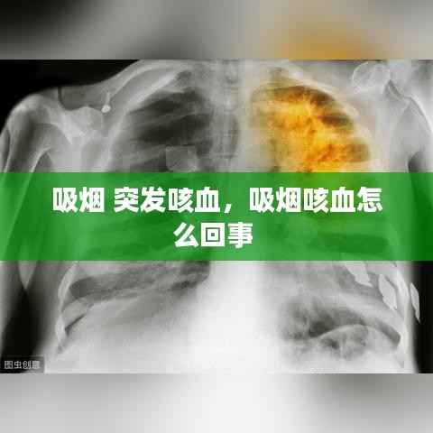 普度众生 第5页