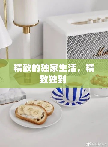 精致的独家生活，精致独到 