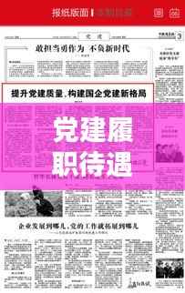 党建履职待遇落实,构建新格局的关键路径探索