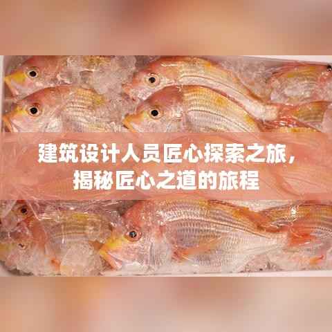 建筑设计人员匠心探索之旅,揭秘匠心之道的旅程